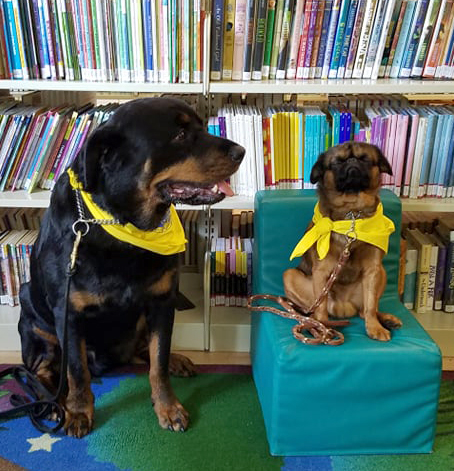 Image of two dogs from the library read-to-a-dog program