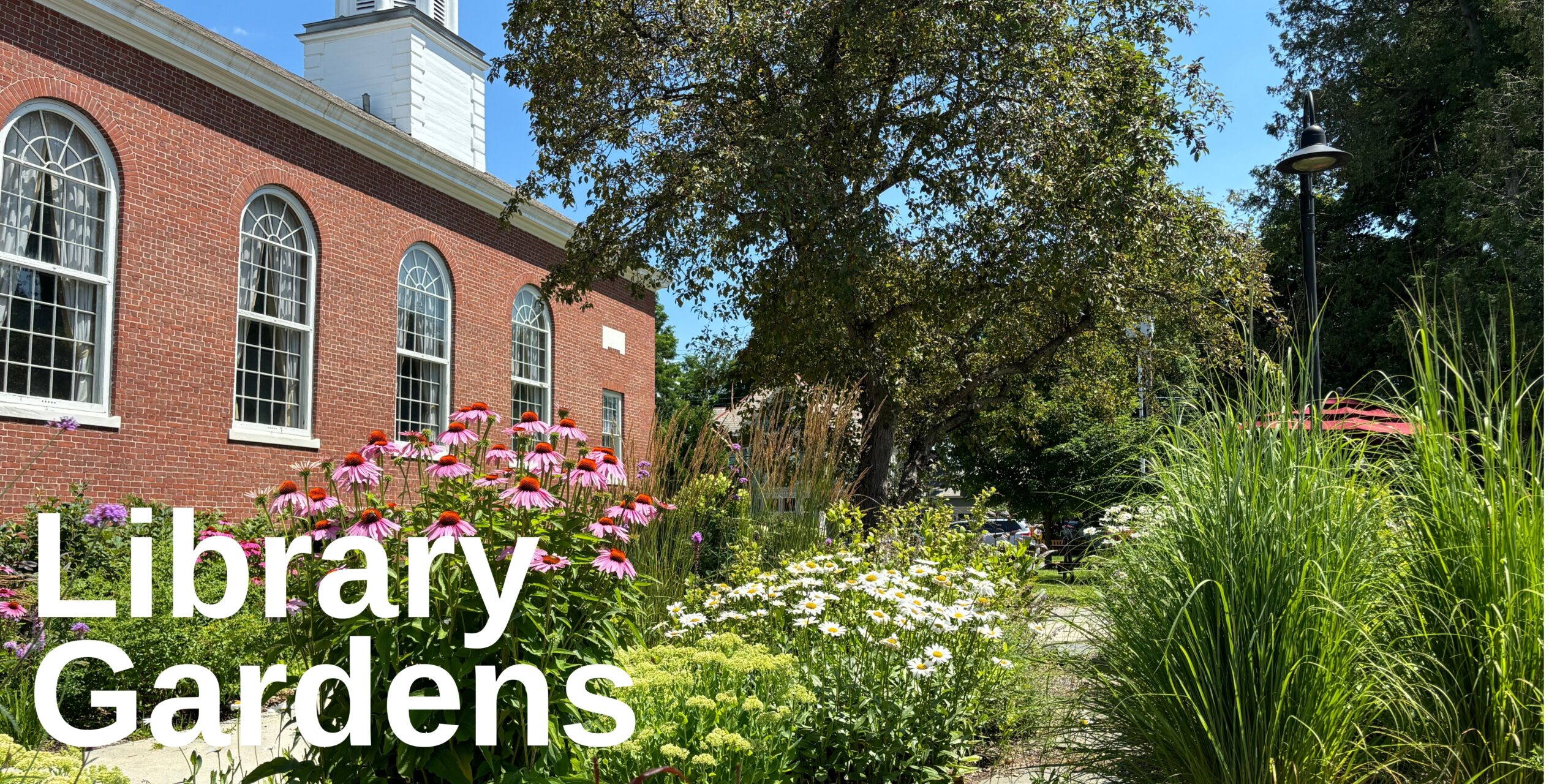 Library Gardens – Pierson Library