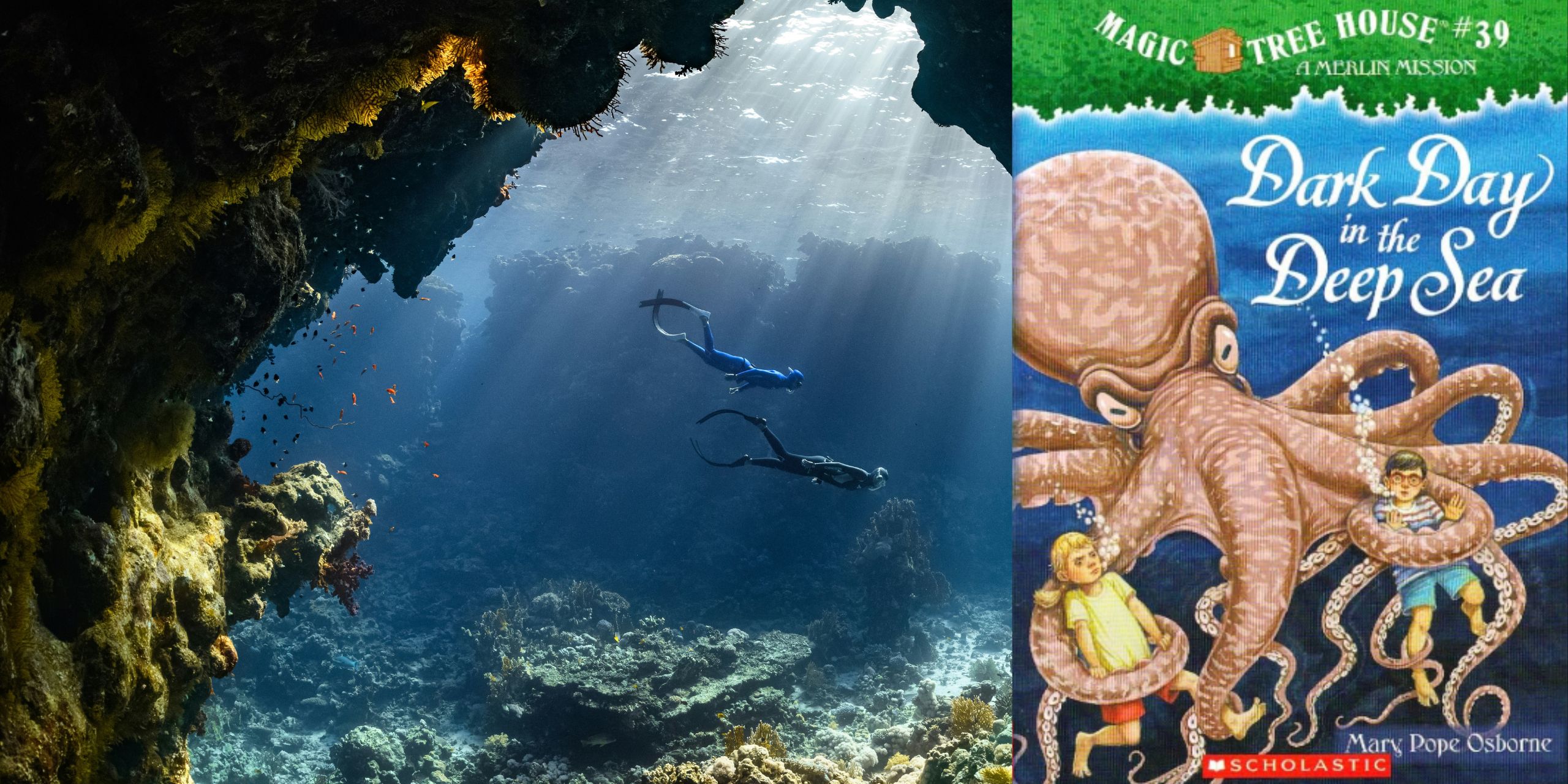 Magic Treehouse: Dark Day in the Deep Sea